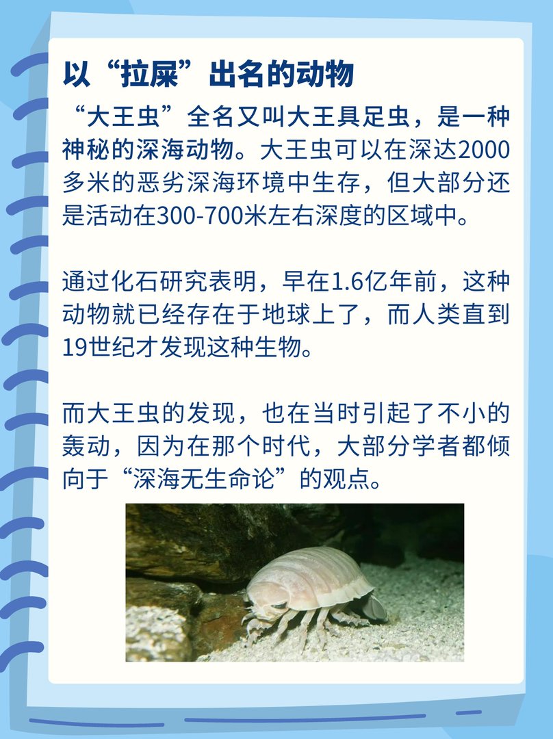 这个物种5年不吃不喝