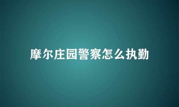 摩尔庄园警察怎么执勤