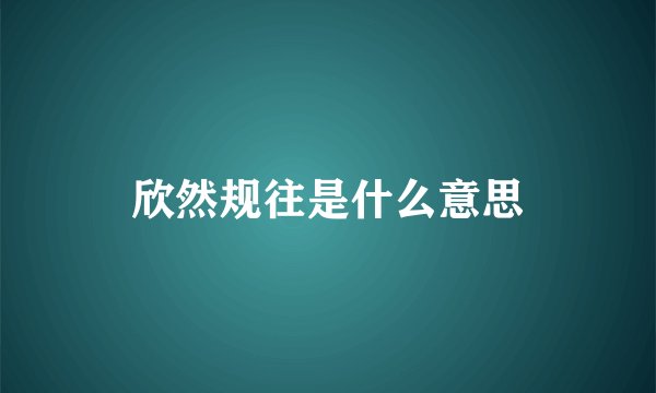 欣然规往是什么意思