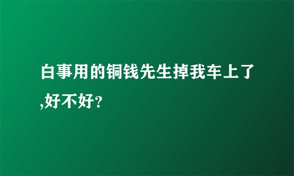 白事用的铜钱先生掉我车上了,好不好？