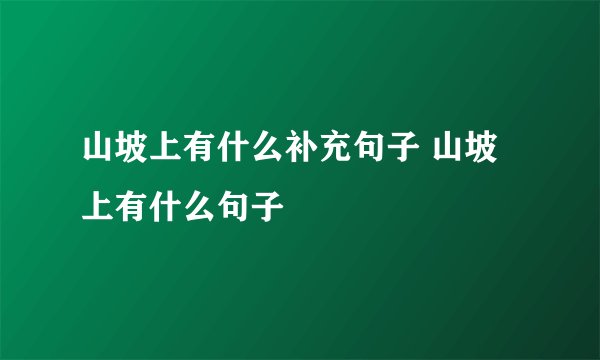 山坡上有什么补充句子 山坡上有什么句子