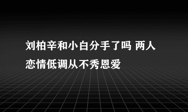 刘柏辛和小白分手了吗 两人恋情低调从不秀恩爱