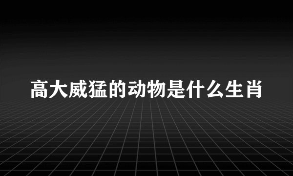 高大威猛的动物是什么生肖