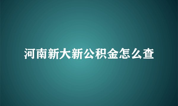 河南新大新公积金怎么查