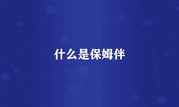 什么是保姆伴