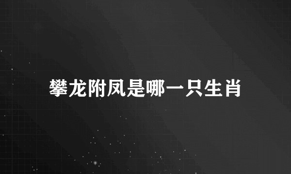 攀龙附凤是哪一只生肖