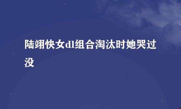 陆翊快女dl组合淘汰时她哭过没