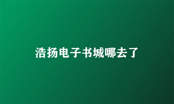 浩扬电子书城哪去了
