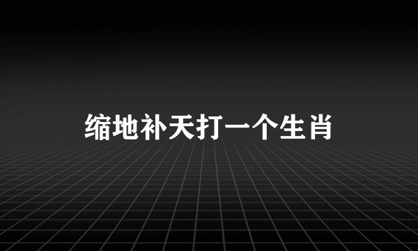 缩地补天打一个生肖