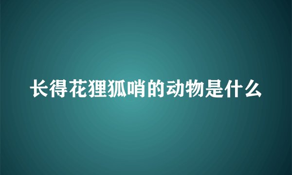 长得花狸狐哨的动物是什么