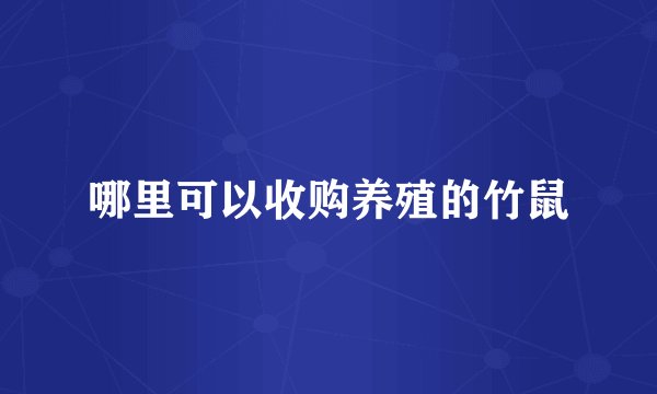 哪里可以收购养殖的竹鼠