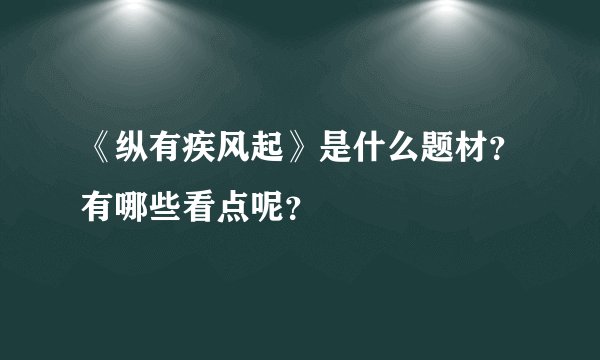 《纵有疾风起》是什么题材？有哪些看点呢？