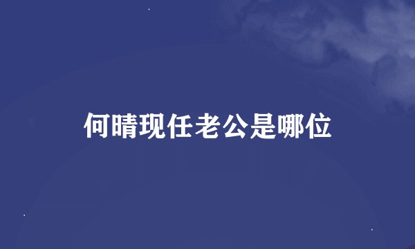 何晴现任老公是哪位