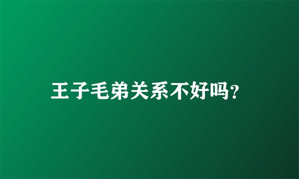 王子毛弟关系不好吗？