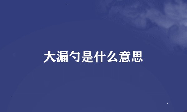 大漏勺是什么意思