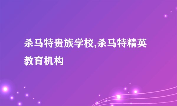 杀马特贵族学校,杀马特精英教育机构
