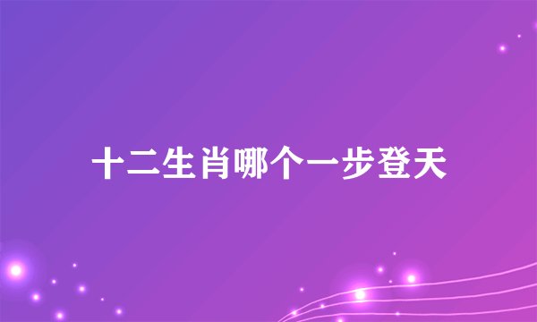 十二生肖哪个一步登天