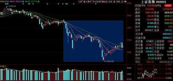 上海疫情封控成本到底多高?专家评估达4万亿元!