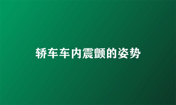 轿车车内震颤的姿势