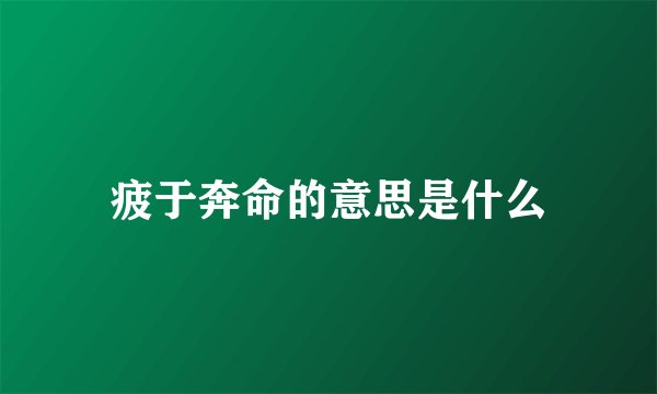 疲于奔命的意思是什么