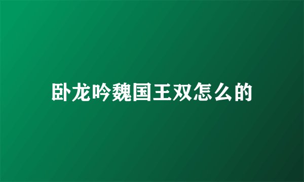 卧龙吟魏国王双怎么的