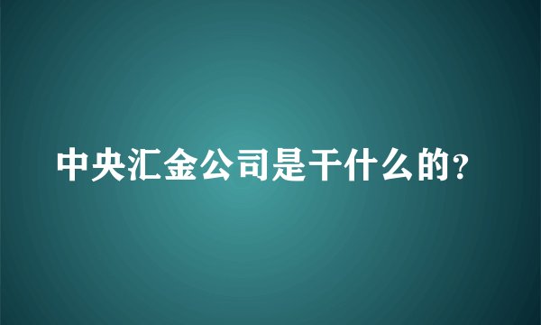 中央汇金公司是干什么的？