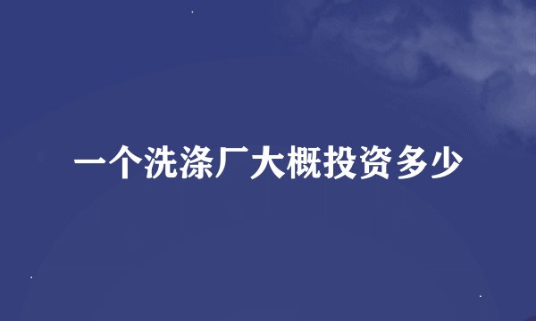 一个洗涤厂大概投资多少