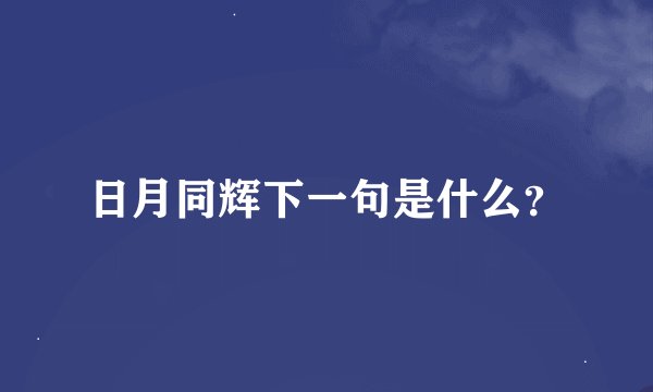 日月同辉下一句是什么？