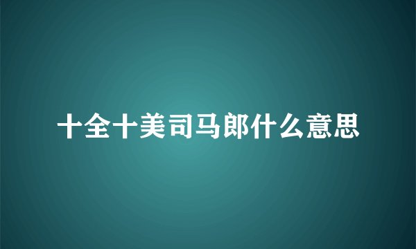十全十美司马郎什么意思