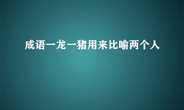成语一龙一猪用来比喻两个人