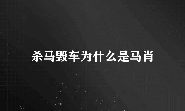 杀马毁车为什么是马肖