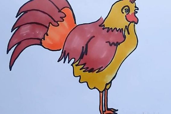 儿童画公鸡的简单画法