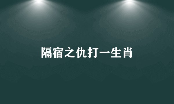 隔宿之仇打一生肖