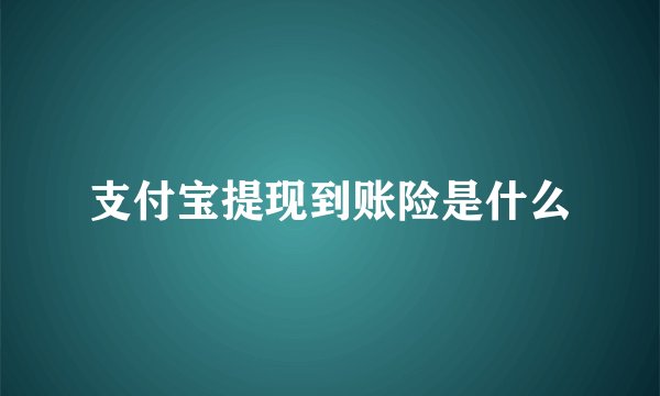 支付宝提现到账险是什么