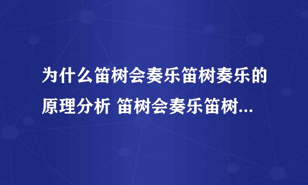 为什么笛树会奏乐笛树奏乐的原理分析 笛树会奏乐笛树奏乐的原因
