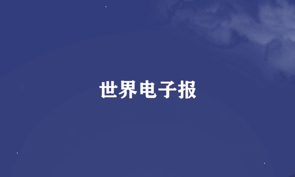 世界电子报