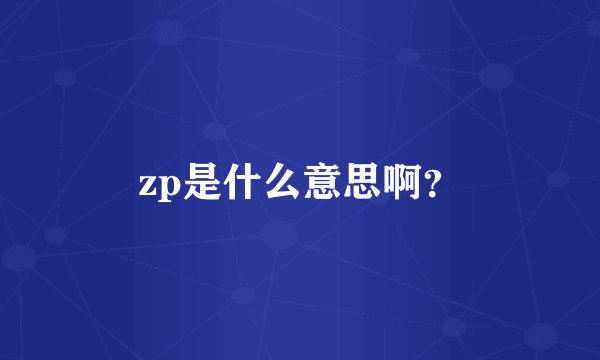 zp是什么意思啊？