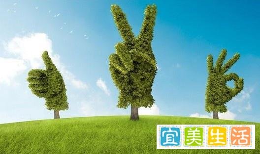 你的心态,决定你的状态