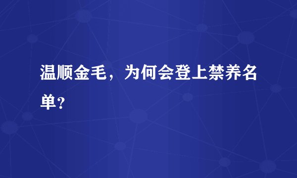 温顺金毛，为何会登上禁养名单？