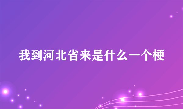 我到河北省来是什么一个梗