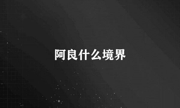 阿良什么境界