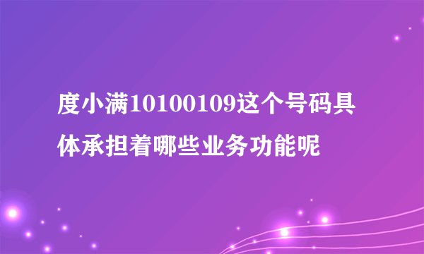 度小满10100109这个号码具体承担着哪些业务功能呢