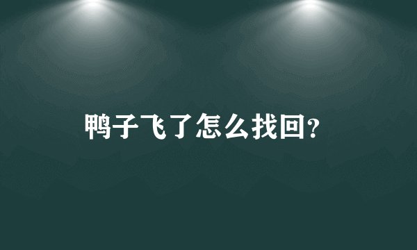 鸭子飞了怎么找回？