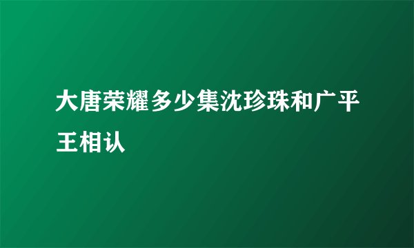 大唐荣耀多少集沈珍珠和广平王相认