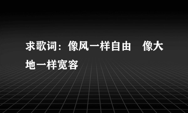 求歌词：像风一样自由 像大地一样宽容