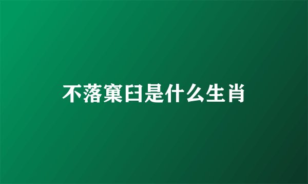 不落窠臼是什么生肖