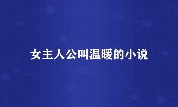 女主人公叫温暖的小说