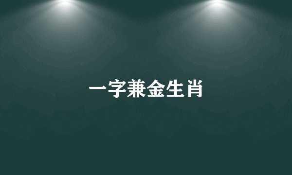 一字兼金生肖