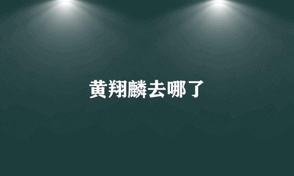 黄翔麟去哪了