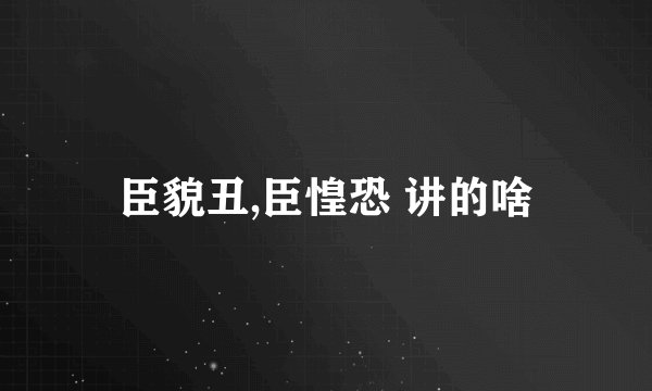 臣貌丑,臣惶恐 讲的啥
